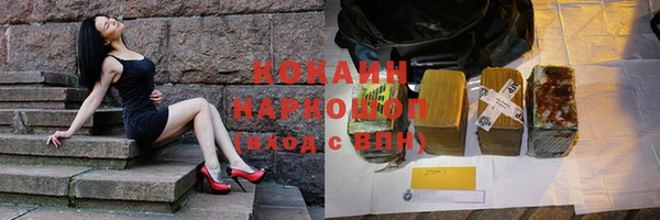 тгк Алзамай